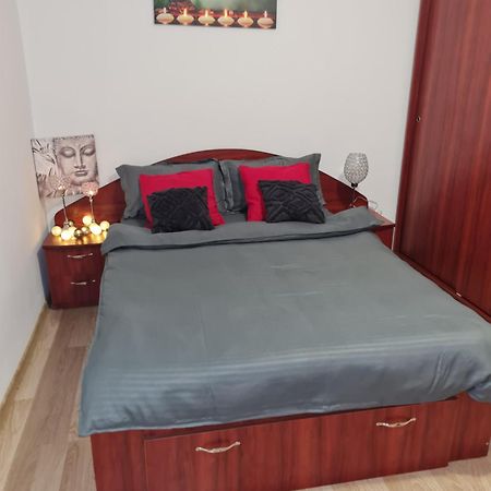 Ambient Cismigiu Apartment Букурещ Екстериор снимка