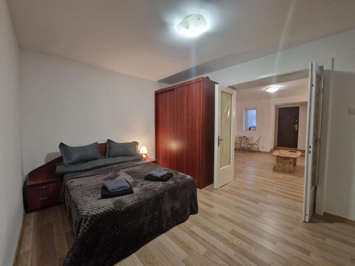 Ambient Cismigiu Apartment Букурещ Екстериор снимка